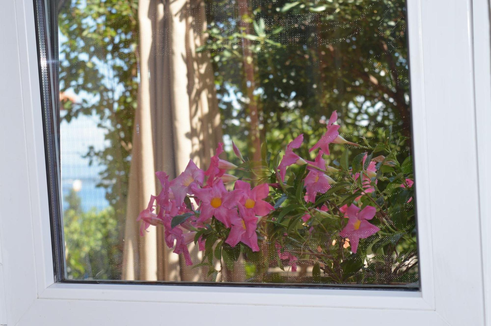 קופר Apartments Ballabanka מראה חיצוני תמונה